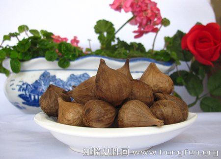 太阳成集团tyc7111cc