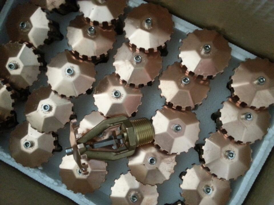 太阳成集团tyc7111cc