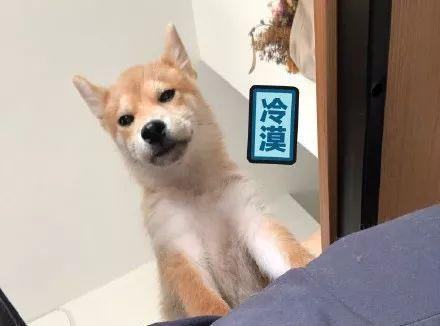 太阳成集团tyc7111cc