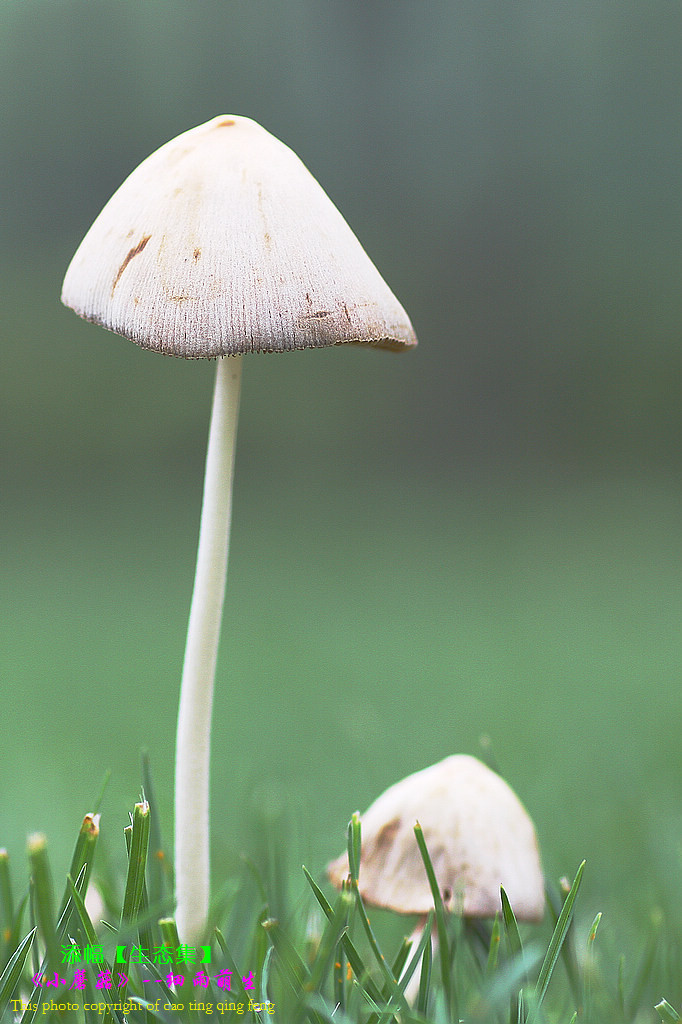 【太阳成集团tyc7111cc】设15项认定标准云南或建电力领域失信“黑名单”(图2) 太阳成集团tyc7111cc