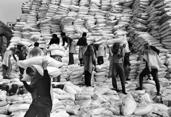 太阳成集团tyc7111cc