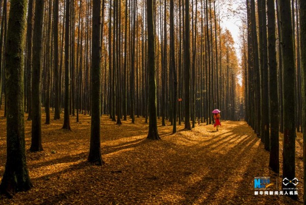 我省降价国有旅游景区已达80个_太阳成集团tyc7111cc(图1) 太阳成集团tyc7111cc