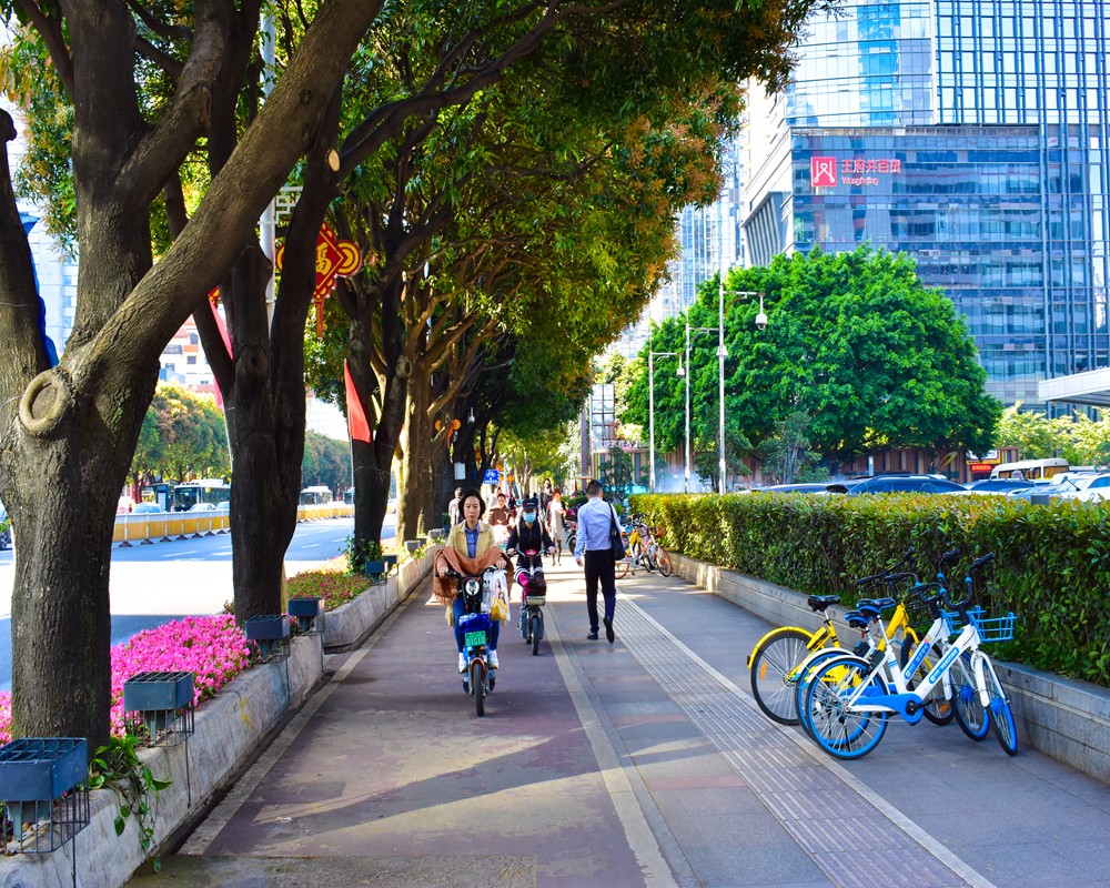 太阳成集团tyc7111cc