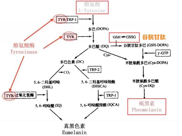 太阳成集团tyc7111cc|
教师教学论文:疫情时期 中小学线上教学的思考与建议 值得收藏(图2) 太阳成集团tyc7111cc