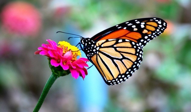 中国或将在澳大利亚大选后放宽澳煤进口限制:太阳成集团tyc7111cc(图1) 太阳成集团tyc7111cc