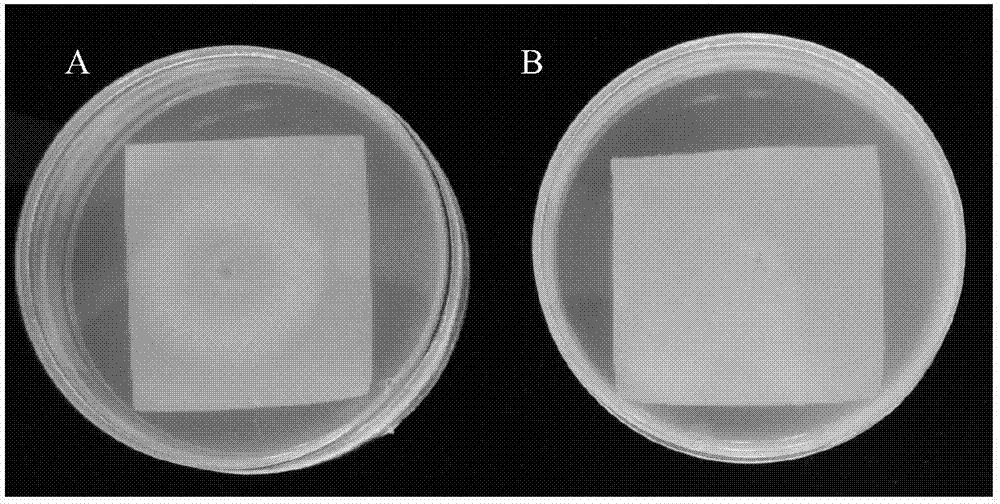 太阳成集团tyc7111cc