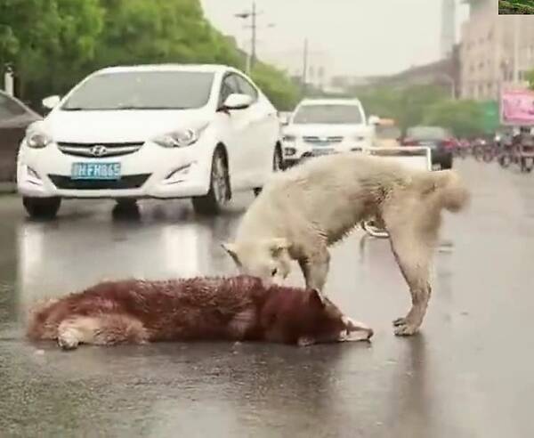 太阳成集团tyc7111cc