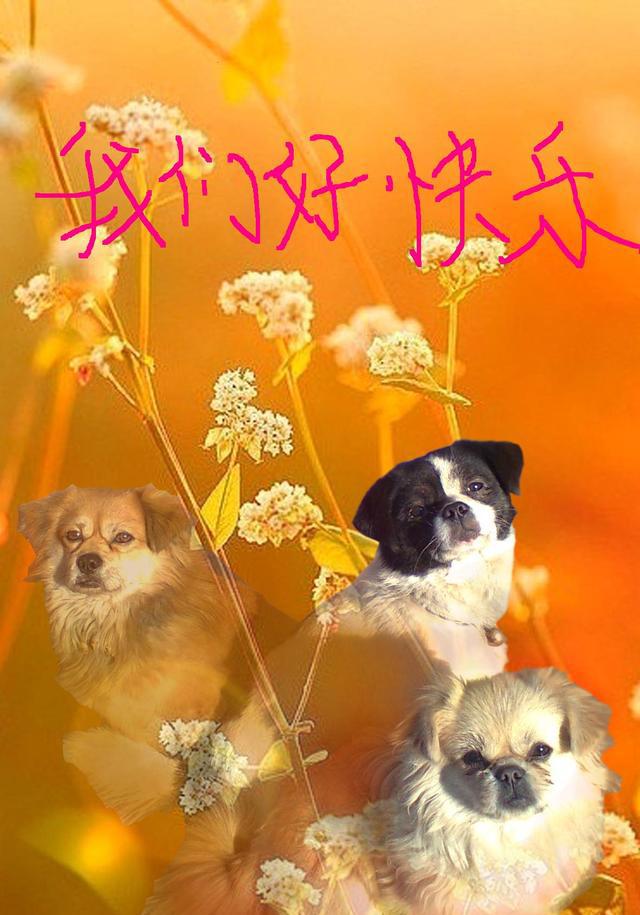 太阳成集团tyc7111cc