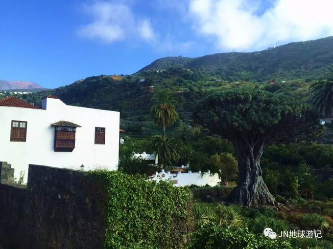 太阳成集团tyc7111cc