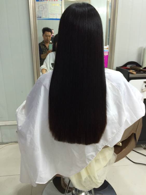 太阳成集团tyc7111cc-中国古生物学会中国景观恐龙首次发布会日前在三亚海棠湾水稻国家公园举行(图2) 太阳成集团tyc7111cc