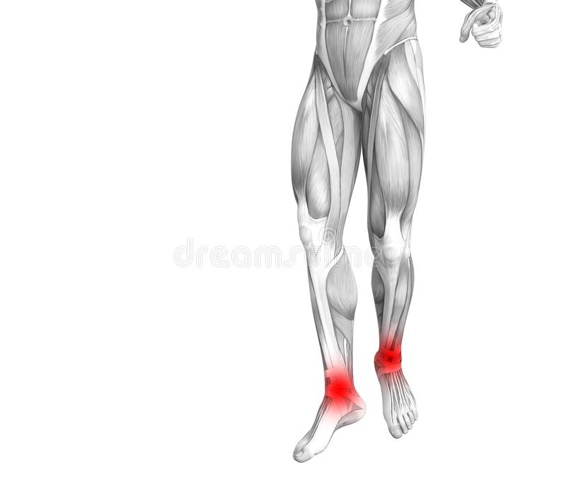 太阳成集团tyc7111cc