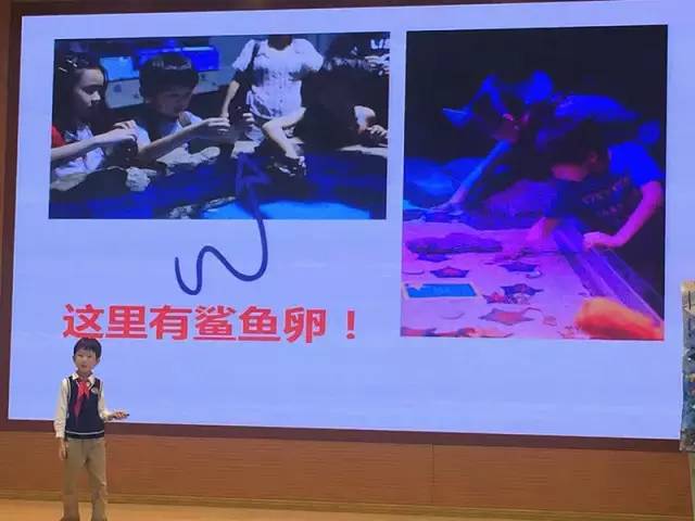 太阳成集团tyc7111cc-不锈钢产品行业中制造商的行为博弈分析(图1) 太阳成集团tyc7111cc