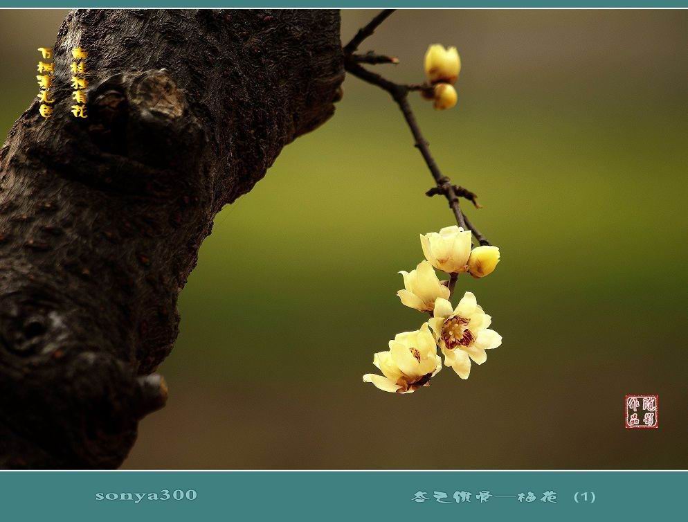 太阳成集团tyc7111cc