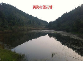 太阳成集团tyc7111cc