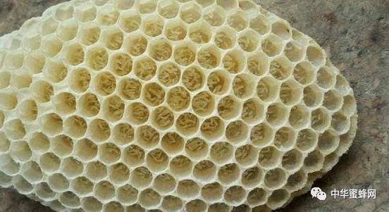 太阳成集团tyc7111cc