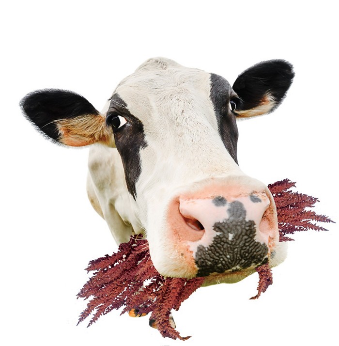 浅谈如何做好建筑主体工程造价工作_太阳成集团tyc7111cc(图2) 太阳成集团tyc7111cc