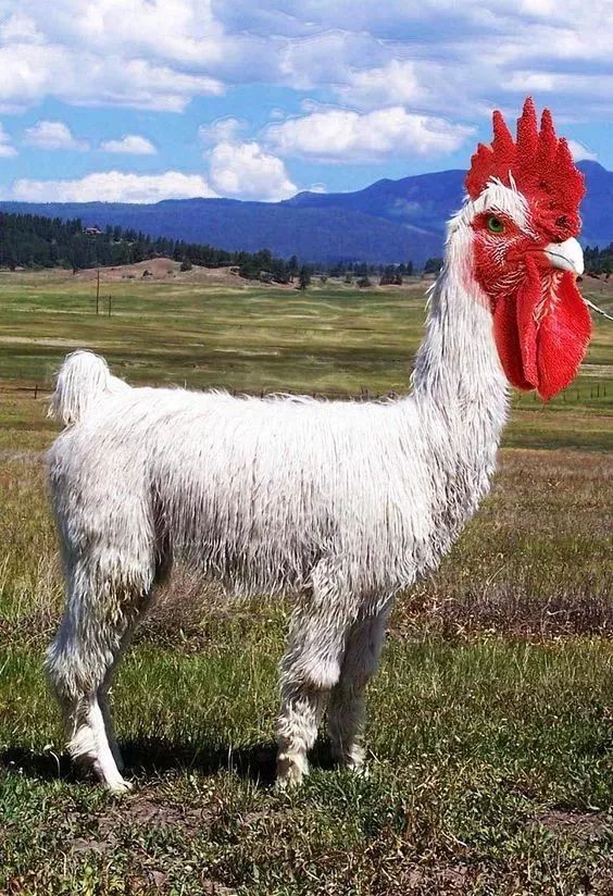 太阳成集团tyc7111cc:“嫦娥玉兔贺中秋”主题活动(图1) 太阳成集团tyc7111cc