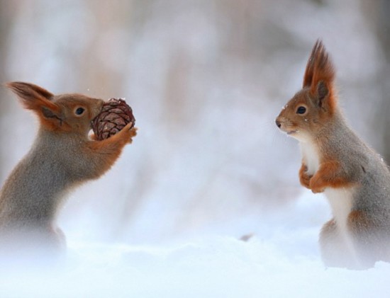 太阳成集团tyc7111cc