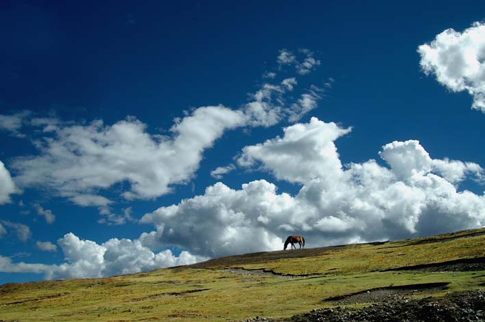 太阳成集团tyc7111cc