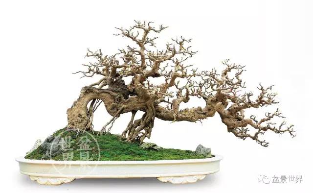 苏州这一传统旅游城市的旅游氛围更加浓郁:太阳成集团tyc7111cc(图3) 太阳成集团tyc7111cc