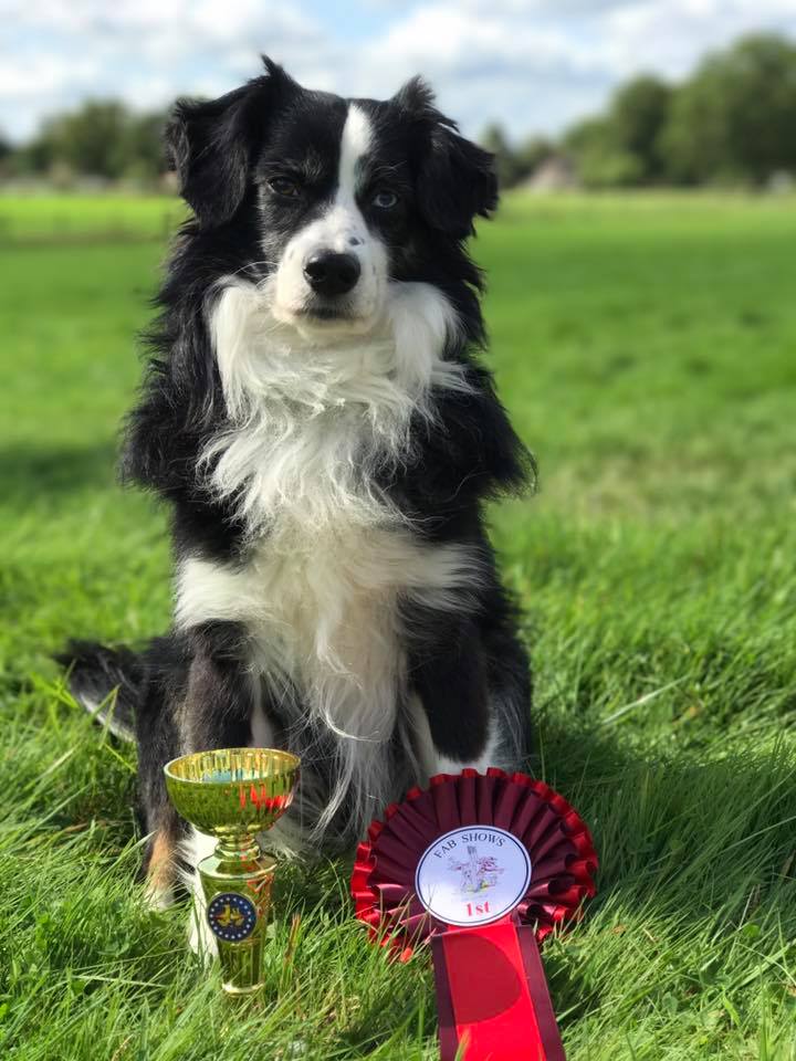 太阳成集团tyc7111cc