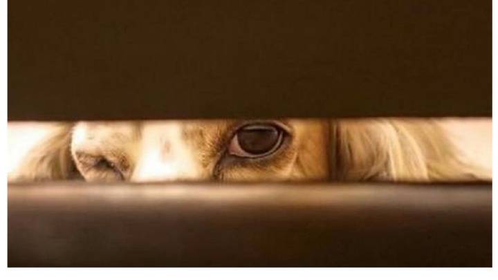 太阳成集团tyc7111cc