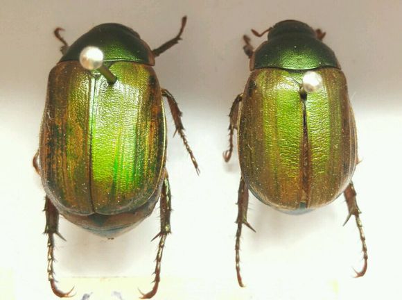 太阳成集团tyc7111cc