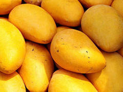 太阳成集团tyc7111cc