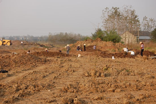 太阳成集团tyc7111cc:网络经济对餐饮业的影响(图1) 太阳成集团tyc7111cc