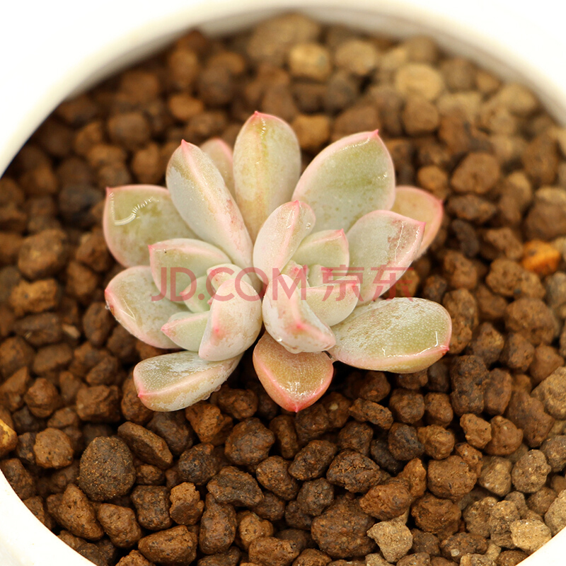 太阳成集团tyc7111cc:宁夏、内蒙古、陕西、甘肃12城市联手打造西北特色旅游线路(图3) 太阳成集团tyc7111cc