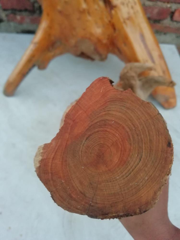 太阳成集团tyc7111cc:宁夏、内蒙古、陕西、甘肃12城市联手打造西北特色旅游线路(图2) 太阳成集团tyc7111cc