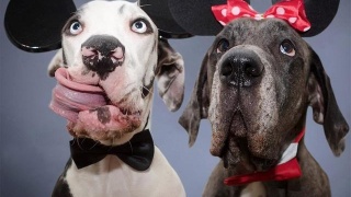 太阳成集团tyc7111cc