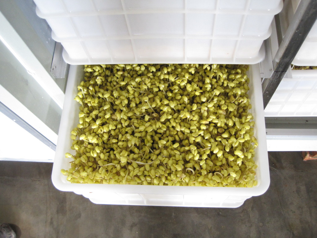 太阳成集团tyc7111cc