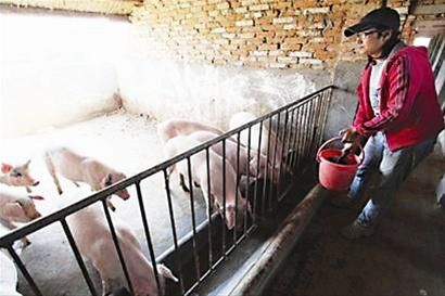 太阳成集团tyc7111cc_商业银行集团客户授信风险管控研究(图1) 太阳成集团tyc7111cc