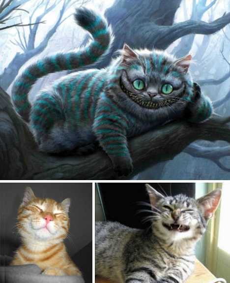 太阳成集团tyc7111cc-国网河北电力开启“5G+智能分布式配电自动化”新模式(图2) 太阳成集团tyc7111cc