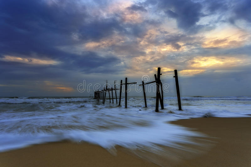 太阳成集团tyc7111cc-创新、笃定与昂然(图1) 太阳成集团tyc7111cc