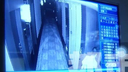 太阳成集团tyc7111cc-后经济危机下中国纺织行业上市公司财务警实证研究(图1) 太阳成集团tyc7111cc