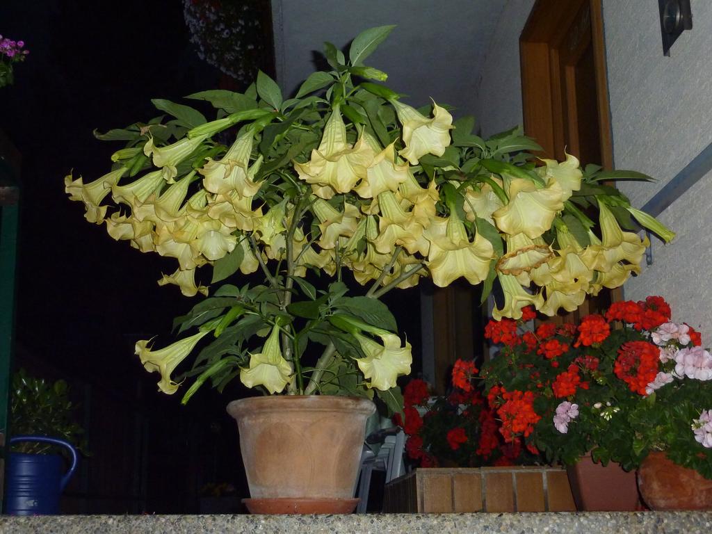 可持续发展战略实施的意义及策略“太阳成集团tyc7111cc”(图1) 太阳成集团tyc7111cc