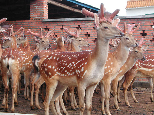 太阳成集团tyc7111cc