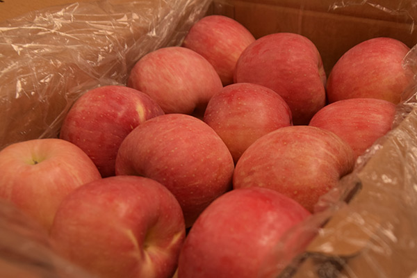 太阳成集团tyc7111cc