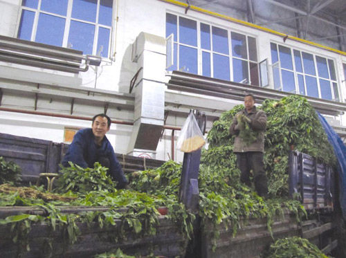 太阳成集团tyc7111cc