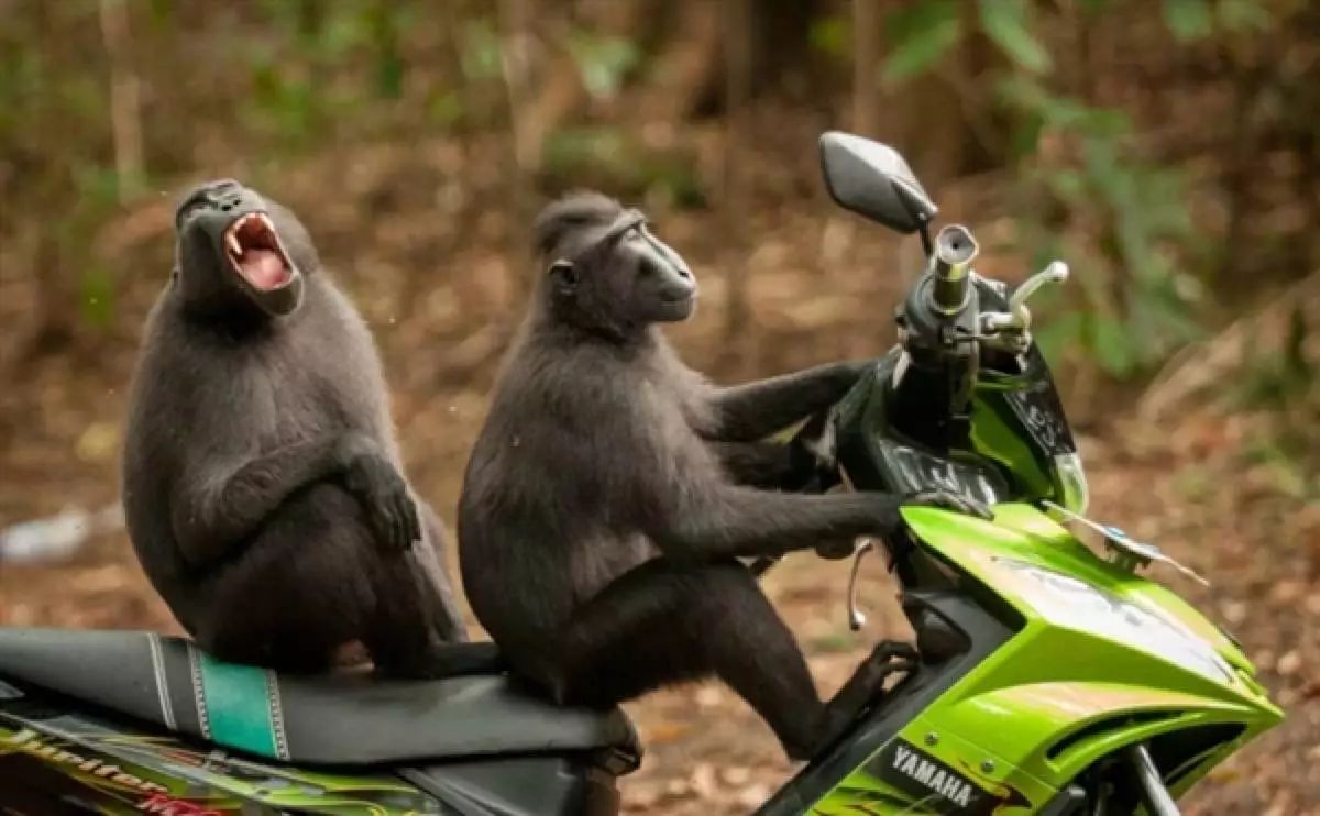 太阳成集团tyc7111cc