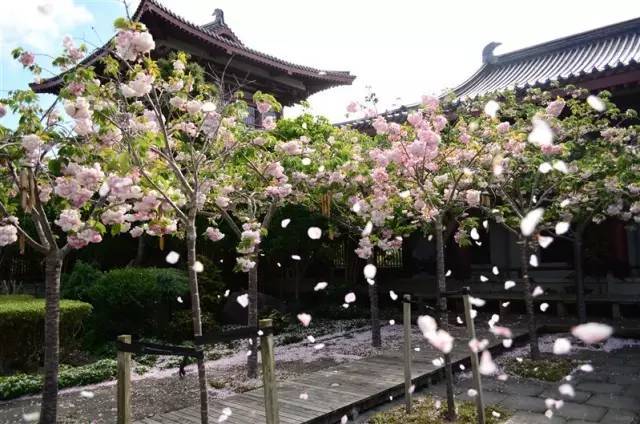 太阳成集团tyc7111cc