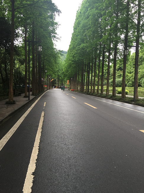 太阳成集团tyc7111cc